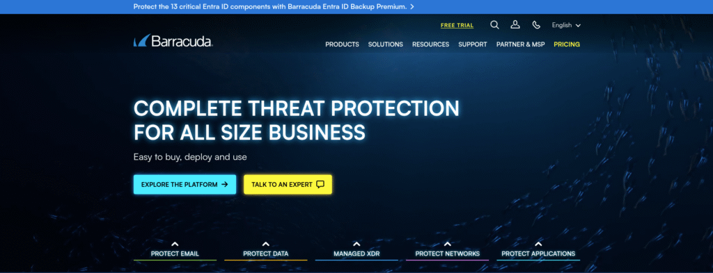 Barracuda enterprise vpn
