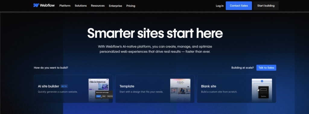 webflow professional websie builder