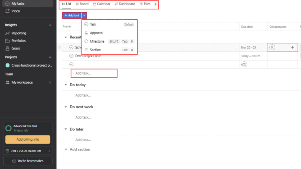 Adding Details in asana project management software.