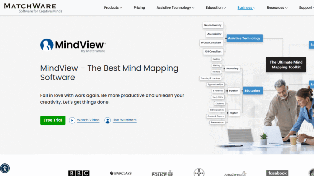MatchWare MindView