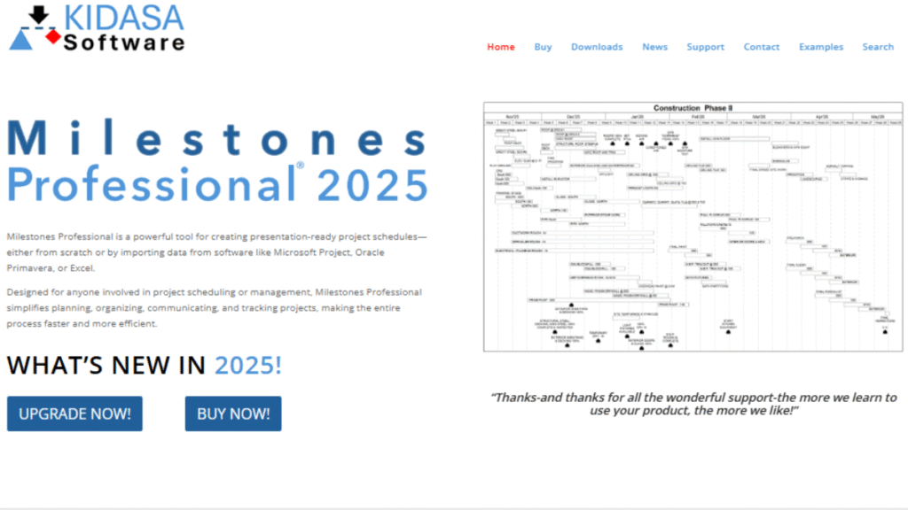 Milestones Professional