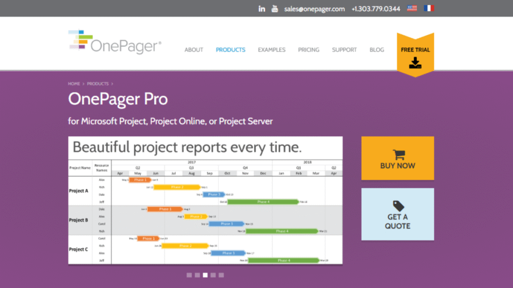 OnePager Pro - A Project Scheduling Tool in Project Management