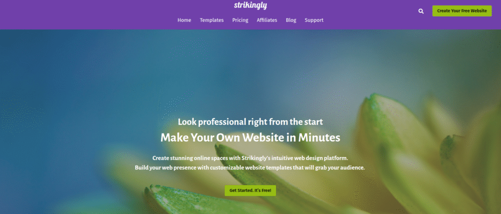 strikingly webpage creator dashboard