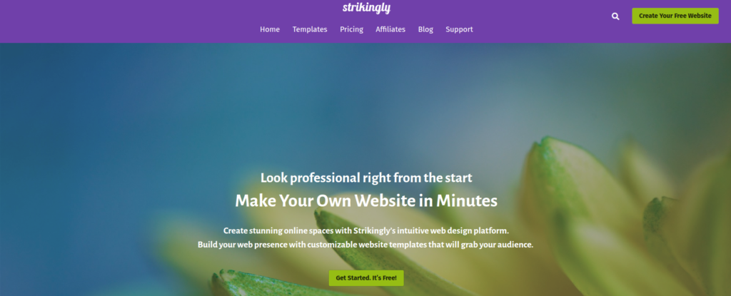 Strikingly dashboard